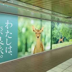 新宿駅に「わたしは、奈良派。」巨大ポスター掲示