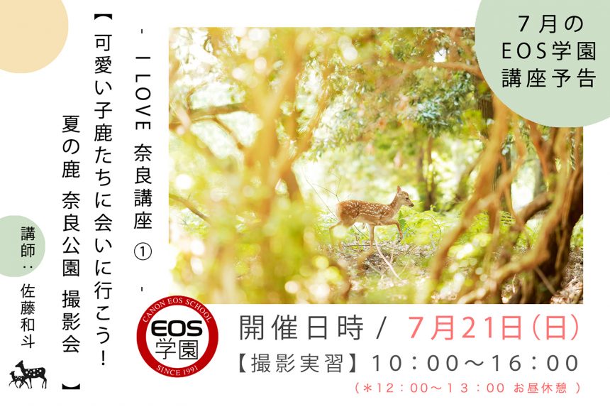 ７月のEOS学園は「 可愛い子鹿撮影会 」受付中！