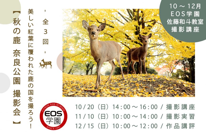 10月のEOS学園は「 秋の鹿 奈良公園 撮影会 」受付中！