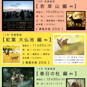 奈良市観光協会主催 【 奈良の鹿 特別 写真教室のお知らせ 】※只今満席。