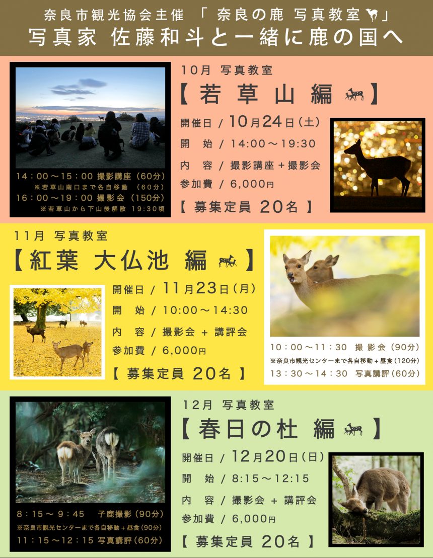 奈良市観光協会主催 【 奈良の鹿 特別 写真教室のお知らせ 】※只今満席。