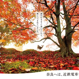近畿日本鉄道「 わたしは、奈良派。」2021秋のポスターに選んでいただきました。