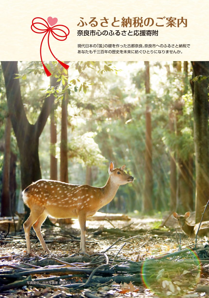 「 奈良市ふるさと納税 」のパンフレットの表紙に写真を採用いただきました。