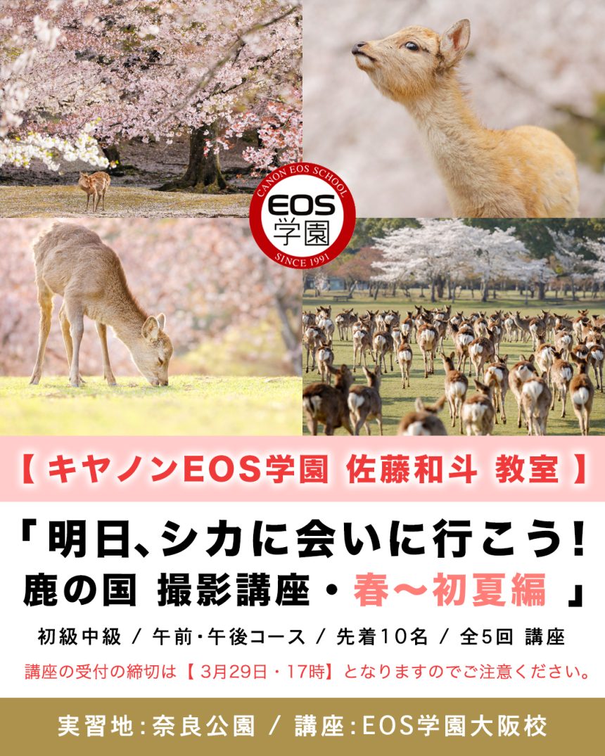 春〜初夏 EOS学園 大阪校  佐藤和斗教室のお知らせ