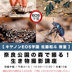 ５月EOS学園 大阪校  佐藤和斗教室のお知らせ