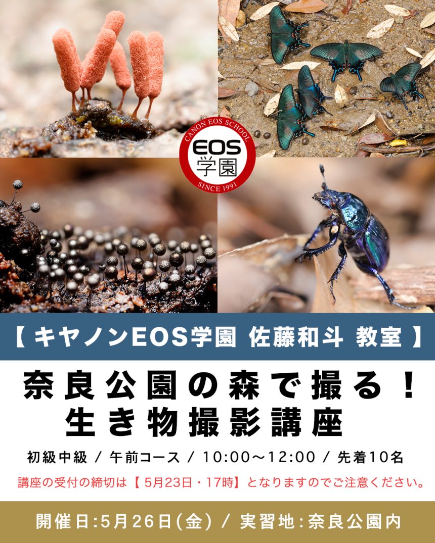 ５月EOS学園 大阪校  佐藤和斗教室のお知らせ