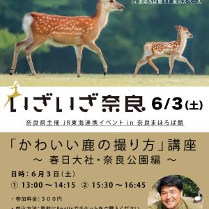 ６/３（土）JR東海「いざいざ奈良」連携イベント「かわいい鹿の撮り方」講座 開催 in まほろば館