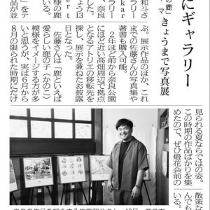 8/13 奈良新聞 web記事＆新聞紙面に作品展について掲載頂きました。