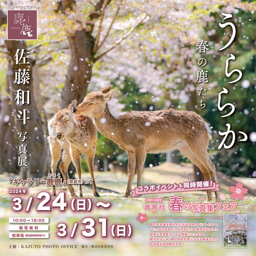 3月24日（日）〜 31日（日）佐藤和斗写真展 × 青菁社春の写真集フェアのお知らせ。