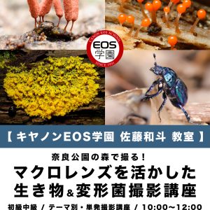 8月25日(日) キヤノンEOS学園 単発の撮影講座のお知らせです。