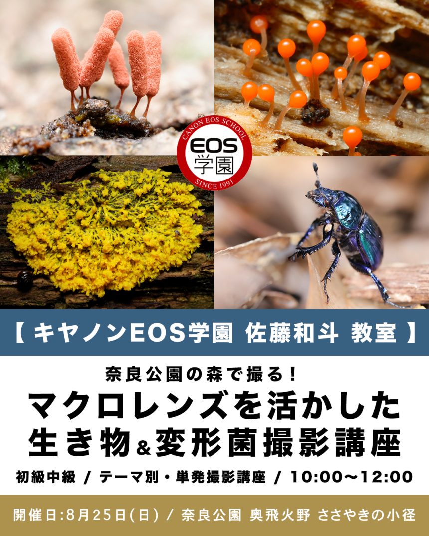 8月25日(日) キヤノンEOS学園 単発の撮影講座のお知らせです。