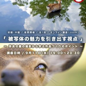EOS学園 オンライン講座 のお知らせ ① 9月11日（水）19:00～20:30 開催！「被写体の魅力」を引き出す視点 ～ 奈良の鹿の撮影から学ぶ作品づくりのポイント～　