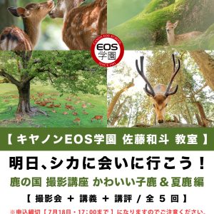7月〜 9月 夏の鹿の国 講座（全５回） EOS学園大阪校  佐藤和斗教室のお知らせ。