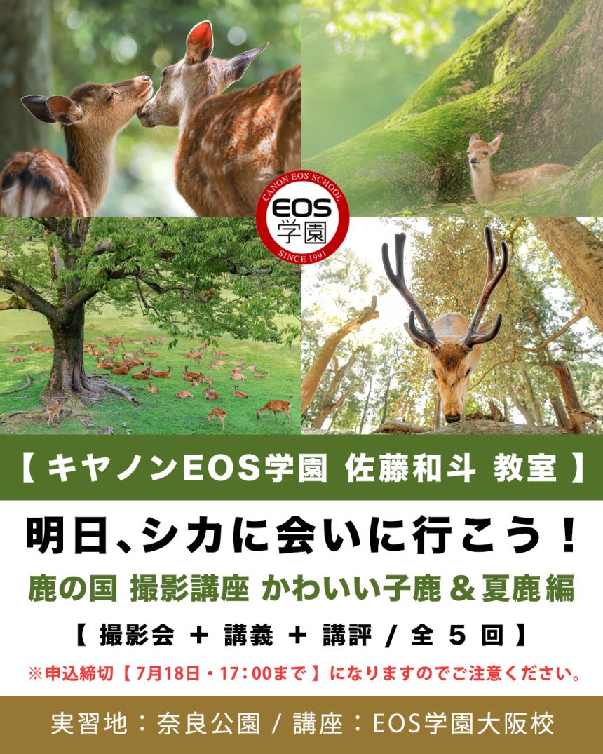 7月〜 9月 夏の鹿の国 講座（全５回） EOS学園大阪校  佐藤和斗教室のお知らせ。