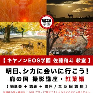 EOS学園 佐藤和斗教室 奈良の鹿１０月〜１２月開催講座のお知らせ。