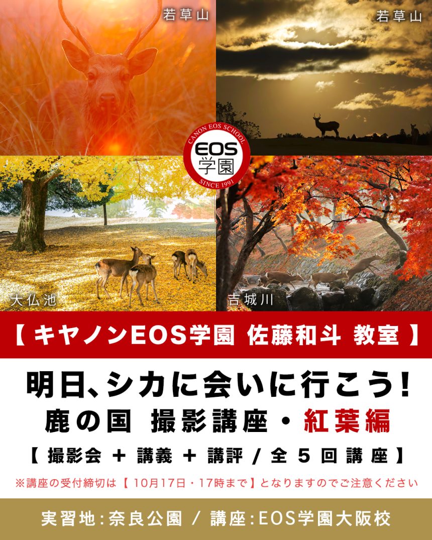 EOS学園 佐藤和斗教室 奈良の鹿１０月〜１２月開催講座のお知らせ。