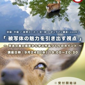 EOS学園 オンライン講座 のお知らせ ① 9月24日（水）19:00～20:30 開催！「被写体の魅力」を引き出す視点 ～ 奈良の鹿の撮影から学ぶ作品づくりのポイント～