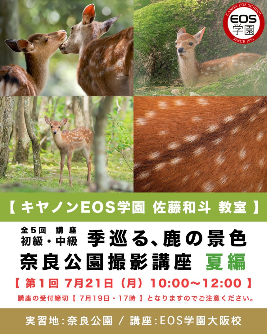Canon EOS学園 2025年 7月 〜 9月 夏の鹿 撮影講座のお知らせです!