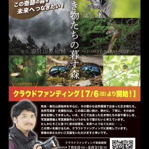【  世界遺産 奈良公園・春日山原始林に暮す、生き物たち命の記録を未来に繋げるプロジェクト！  】