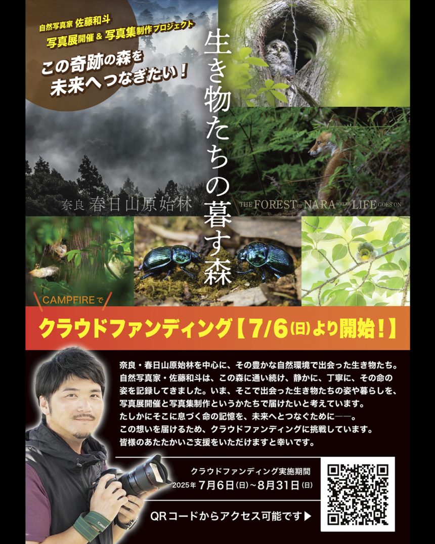 【  世界遺産 奈良公園・春日山原始林に暮す、生き物たち命の記録を未来に繋げるプロジェクト！  】