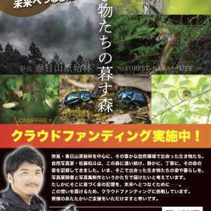 【  世界遺産 春日山原始林に暮す、生き物たち命の記録を未来に繋げるプロジェクト開始しました！  】