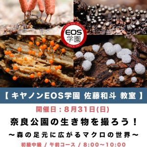 キヤノンEOS学園 ８月３１日(日)開催！奈良公園の生き物を撮ろう！〜 森の足元に広がるマクロの世界 〜 