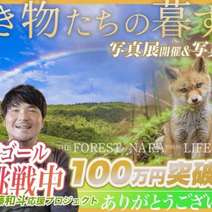 【ご報告】皆さまのおかげで、第一目標金額 100万円を達成いたしました!!!