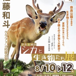 8/10（日）- 8/12（火）クラウドファンディング応援企画！ 自然写真家  佐藤和斗  ミニ写真展「 奈良公園のシカと生き物たち展 」