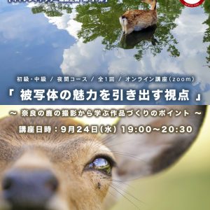 【 キヤノンギャラリー銀座 & 大阪  連動企画 】 〝  第❶弾 & 第❷段 〟 EOS学園 オンライン講座のお知らせ🦌