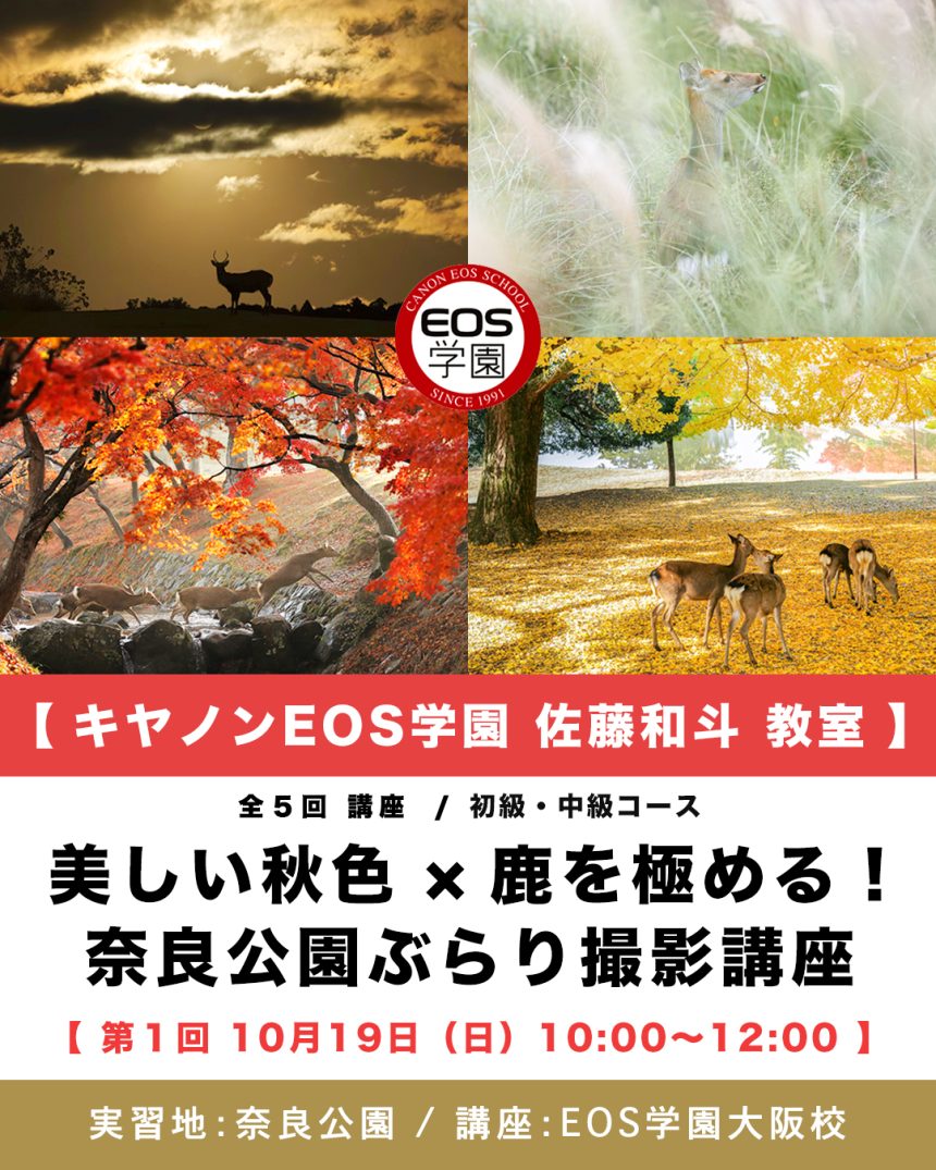 EOS学園 大阪校. 佐藤和斗教室. １０月〜１２月開催講座のお知らせ！