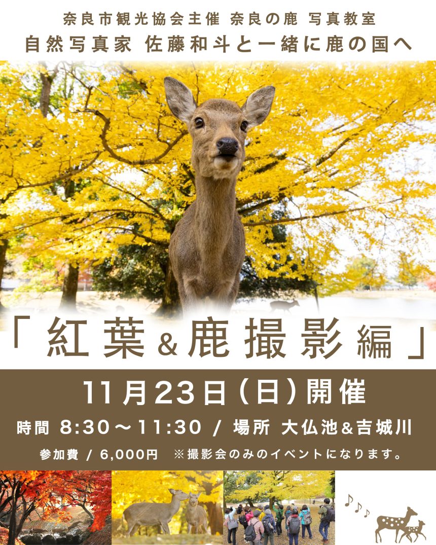 １１月２３日（日）奈良市観光協会主催 奈良の鹿・写真教室の紅葉撮影イベント