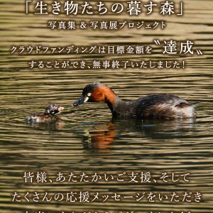 【 御礼 】生き物たちの暮す森プロジェクト、クラウドファンディングが終了いたしました！
