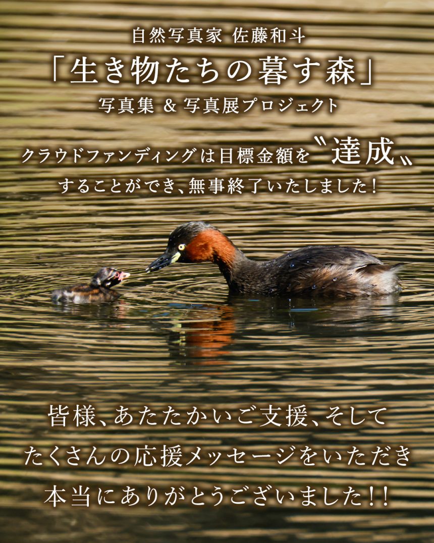 【 御礼 】生き物たちの暮す森プロジェクト、クラウドファンディングが終了いたしました！
