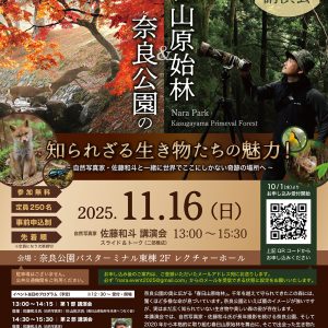 １１月１６日(日) 佐藤和斗 講演会 × 写真展「 春日山原始林＆奈良公園の知られざる生き物たちの魅力！」in 奈良バスターミナルのお知らせ