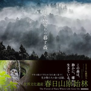 佐藤和斗 新作写真集  「 生き物たちの暮す森 」2025年11月12日 発売‼️