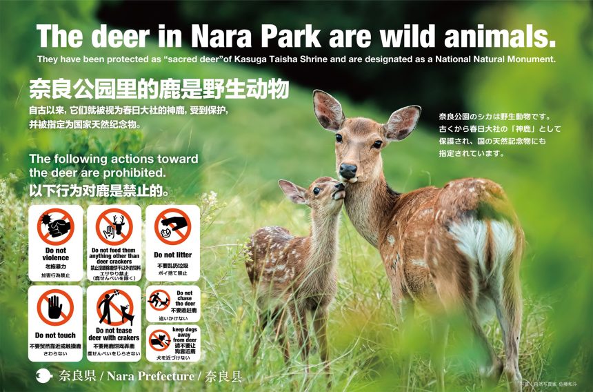奈良の鹿の大型の啓発看板に親子鹿の作品を提供させていただきました。