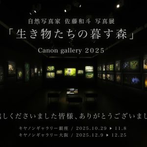 キヤノンギャラリー大阪での写真展が無事終了いたしました。2025.12.25