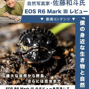 《 E0S R6 Mark Ⅲ  レビュー /  キヤノン公式YouTube に出演のお知らせ 》