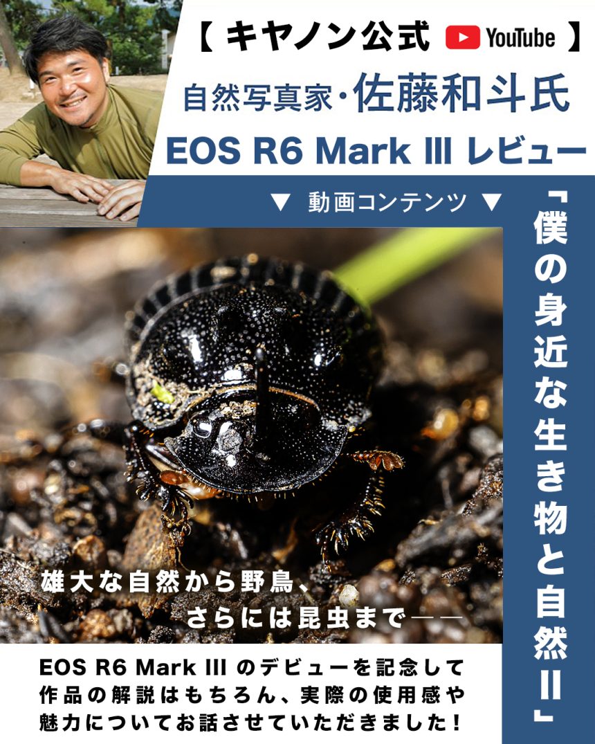 《 E0S R6 Mark Ⅲ  レビュー /  キヤノン公式YouTube に出演のお知らせ 》