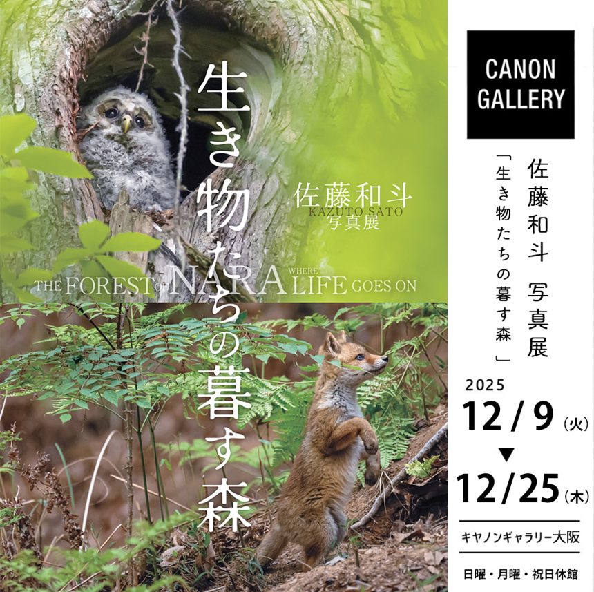 キヤノンギャラリー大阪 / 佐藤和斗 写真展「生き物たちの暮す森」のお知らせです!! 在廊日記載しています。 キヤノンギャラリー大阪 / 佐藤和斗 写真展「生き物たちの暮す森」のお知らせです!! 在廊日記載しています。