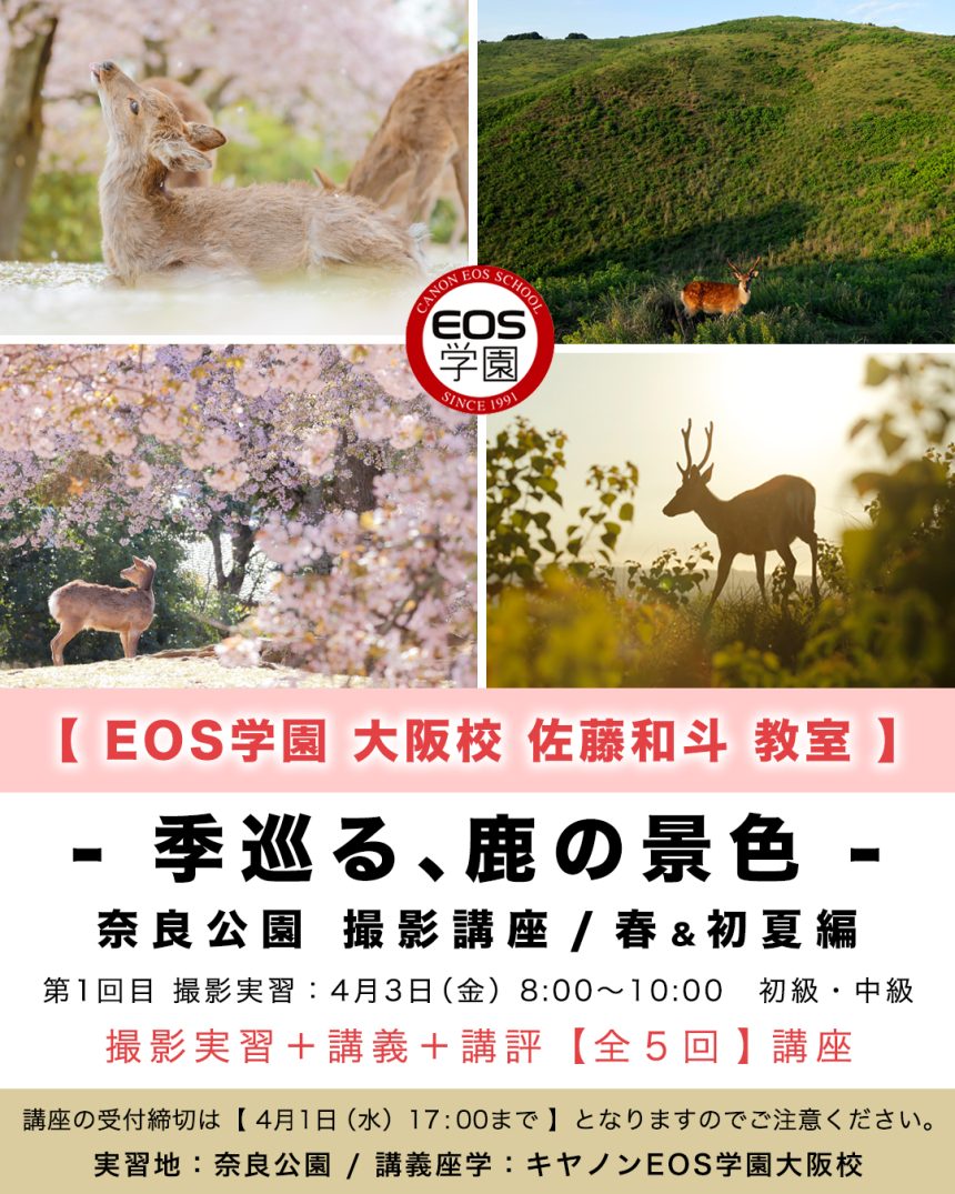 キヤノンEOS学園 大阪校 佐藤和斗教室【 春&初夏講座 】のお知らせ! キヤノンEOS学園 大阪校 佐藤和斗教室【 春&初夏講座 】のお知らせ!